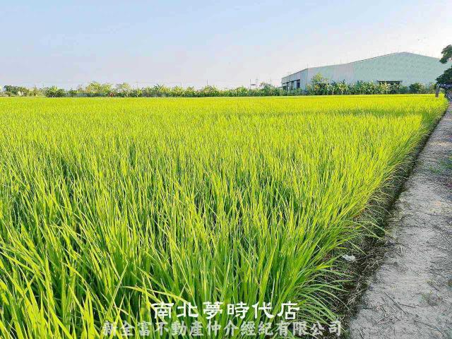 台南柳營農地-4