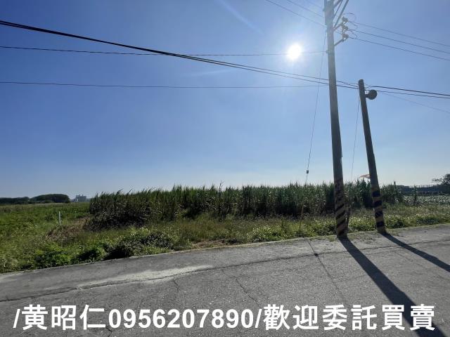 台南西港農地-2