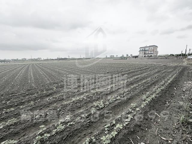 台南善化農地-1