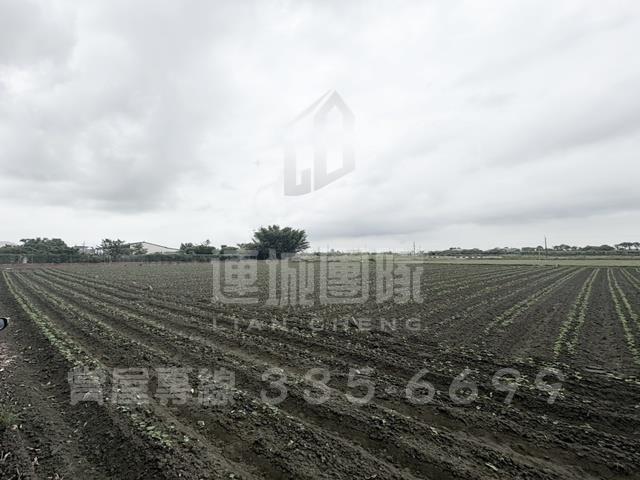 台南善化農地-2