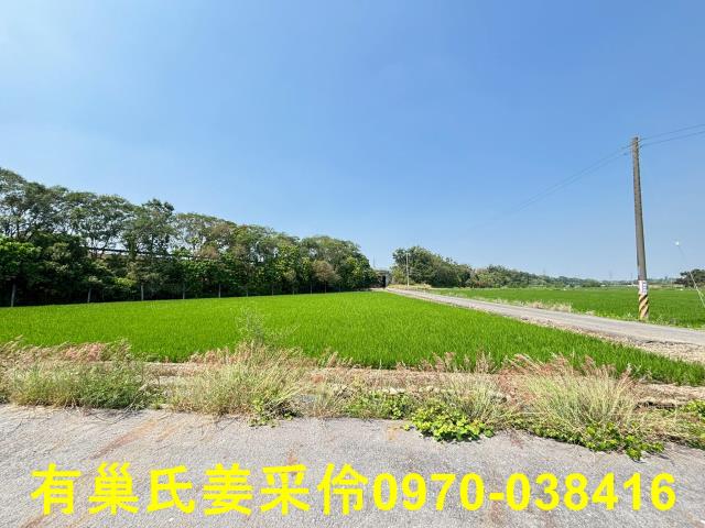 台南白河農地-4