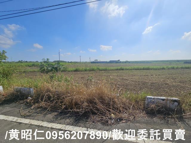 台南七股農地-2