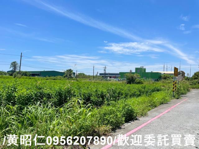 台南安定農地-5