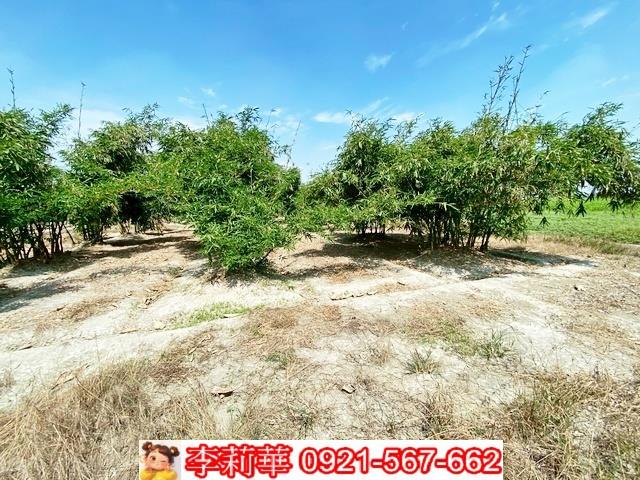 台南西港農地-4