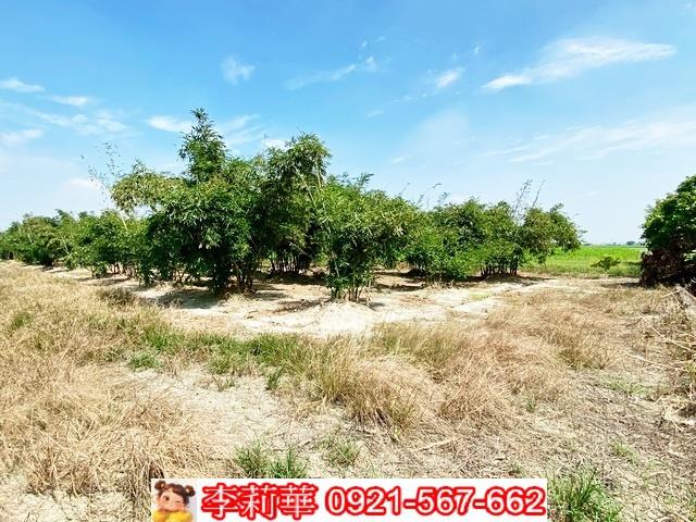 台南西港農地-6