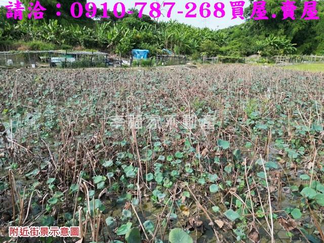 台南官田農地-9