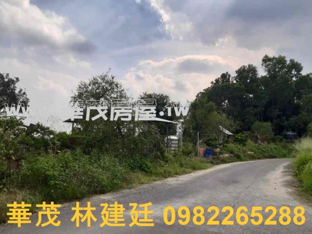 左鎮拍賣農地-1