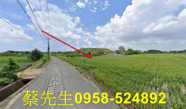 台南關廟農地法拍-15