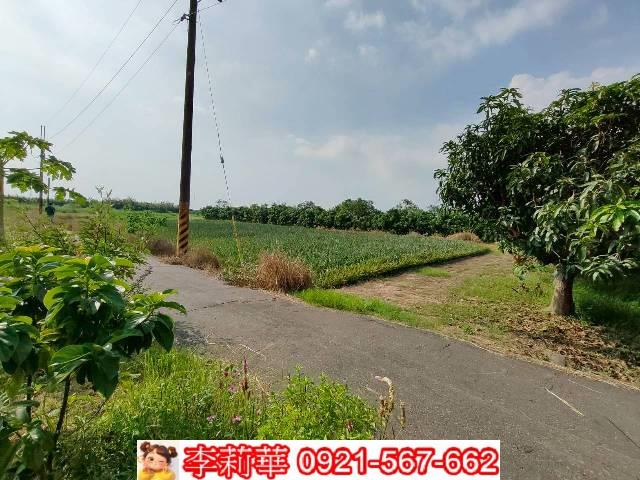 台南歸仁農地-2