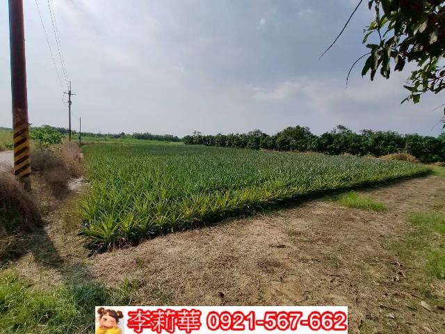 台南歸仁農地-4