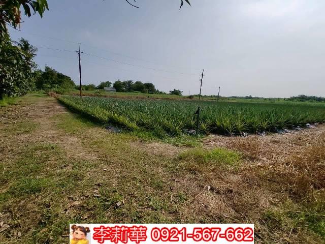 台南歸仁農地-6