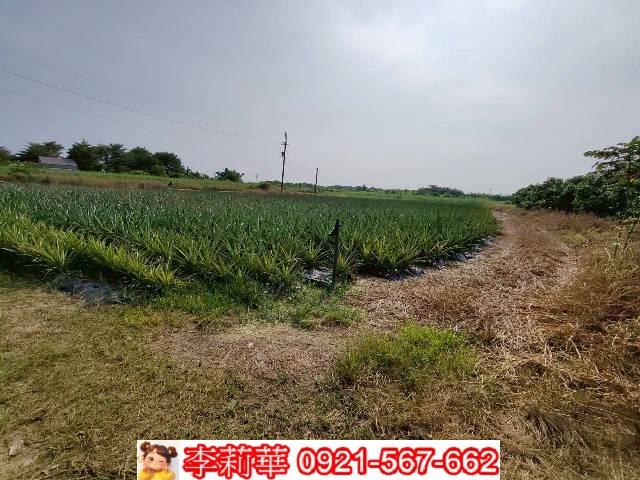 台南歸仁農地-7