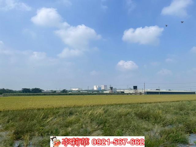 柳營農地-11