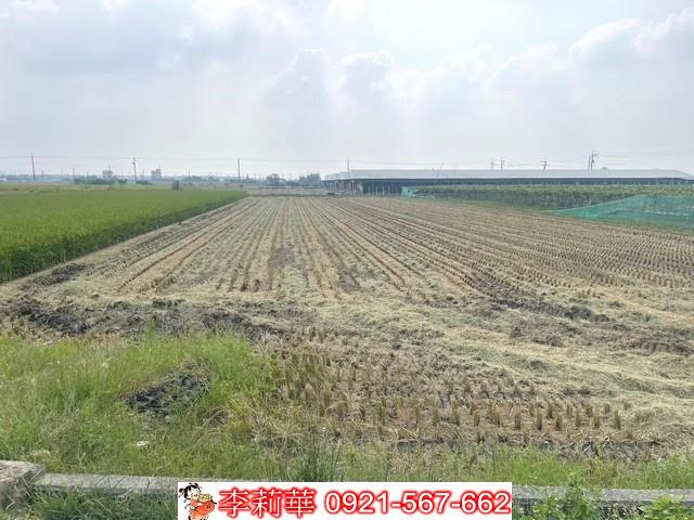 柳營農地-7