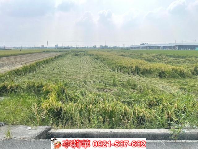 柳營農地-8