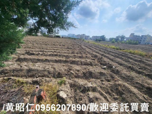 台南新市農地-3