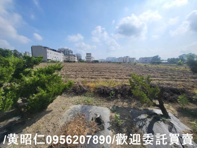台南新市農地-4