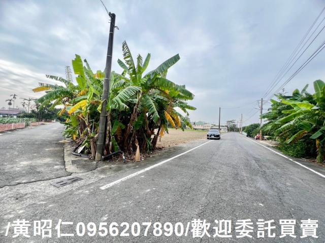 台南後壁農地-11