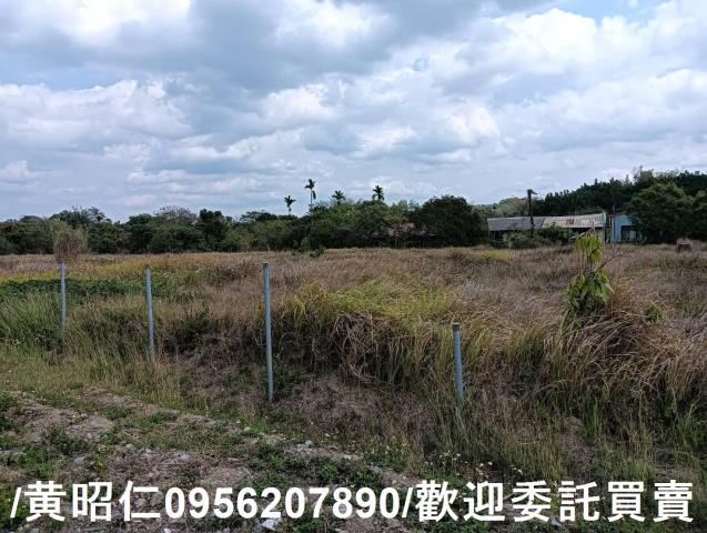 台南大內農地-5