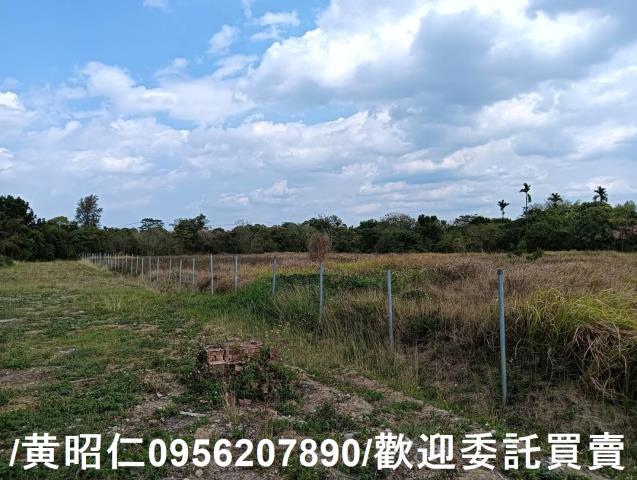 台南大內農地-6