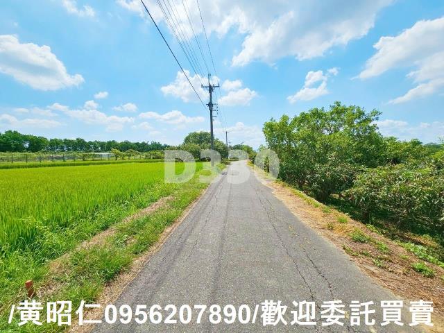 台南官田農地-2