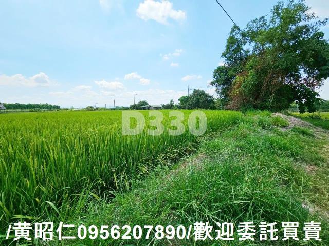 台南官田農地-3