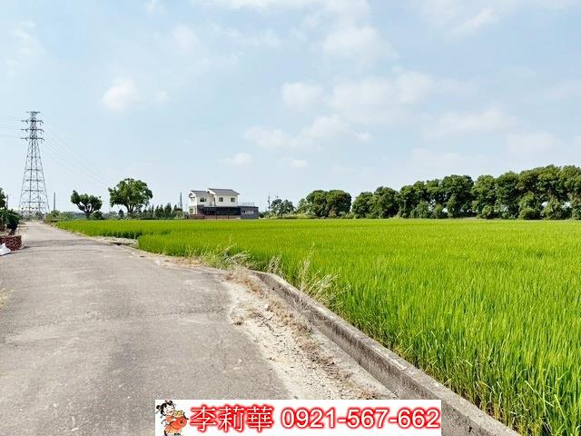 新營農地-2