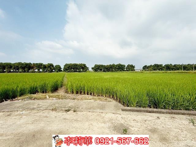 新營農地-4