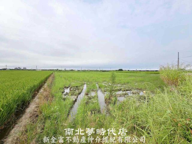 柳營農地-2