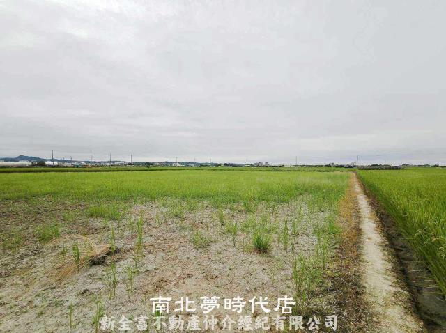 柳營農地-3