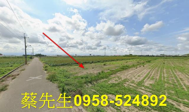 台南農地法拍-12