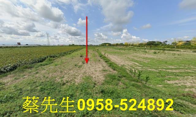 台南農地法拍-1