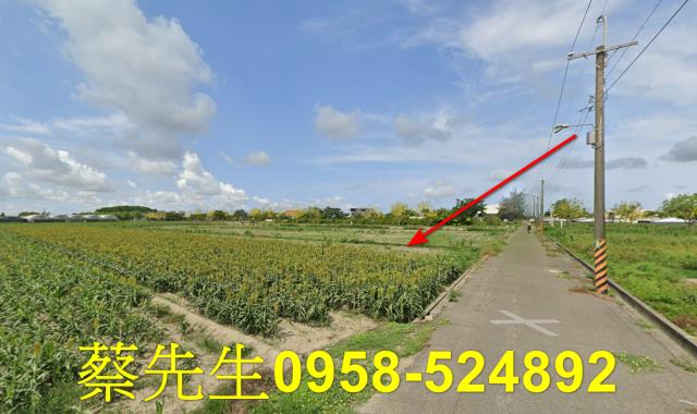 台南農地法拍-7