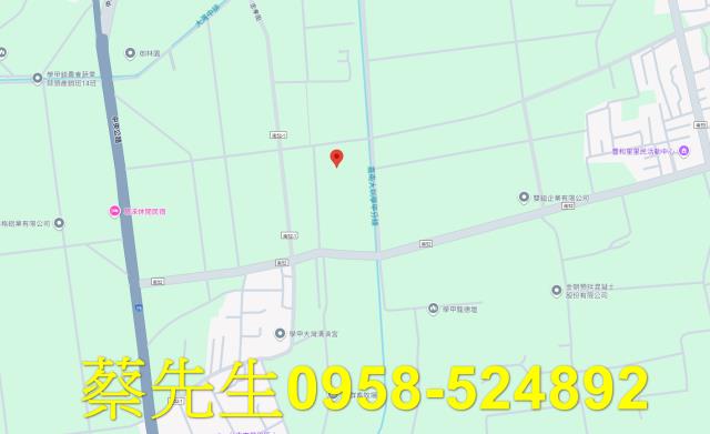 台南農地法拍-8