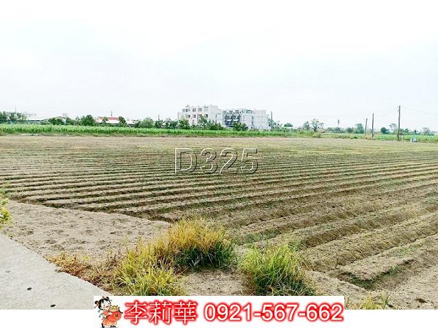 台南佳里農地-12