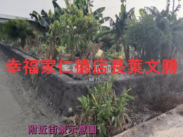 台南新市農地-6