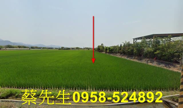 白河法拍農地-1