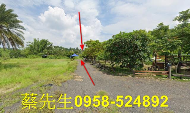 大內法拍農地-1