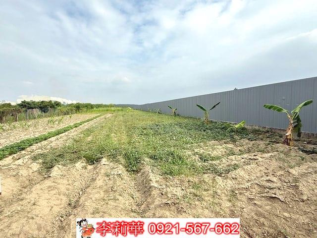 安定農地-7