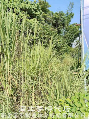 台南左鎮建地-6