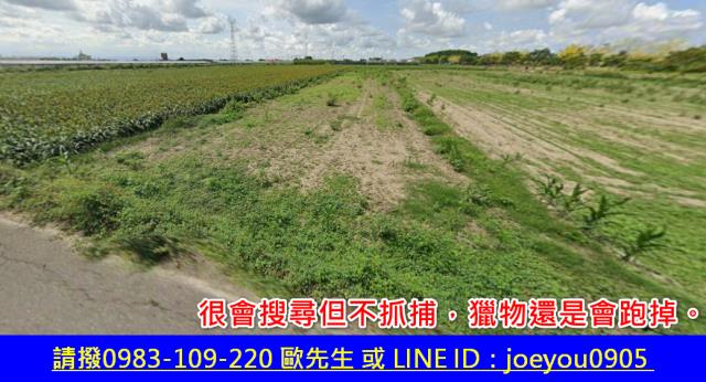 台南學甲法拍農地-3