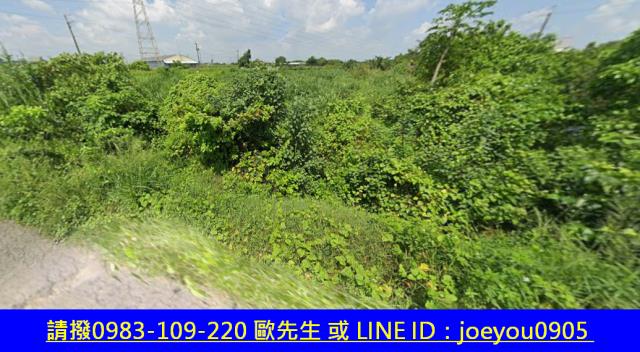 柳營農地拍賣-5