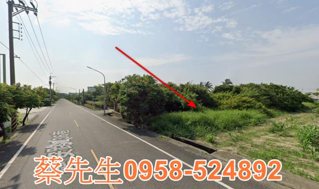 西港法拍農地-12