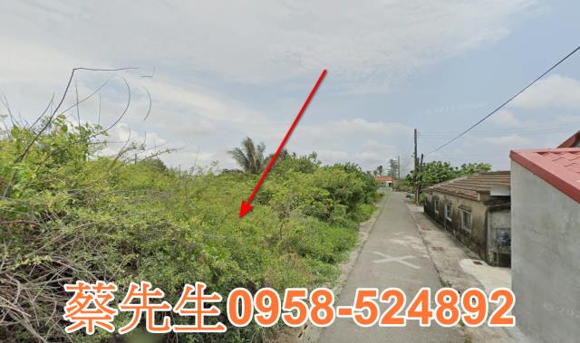 將軍建地法拍-12