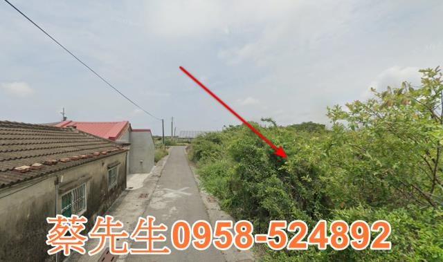 將軍建地法拍-6