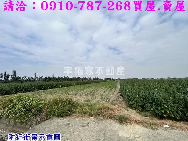台南農地-5