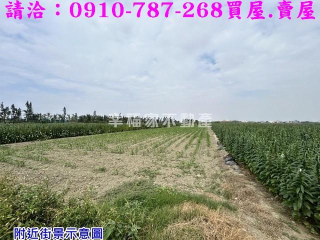 台南農地-8