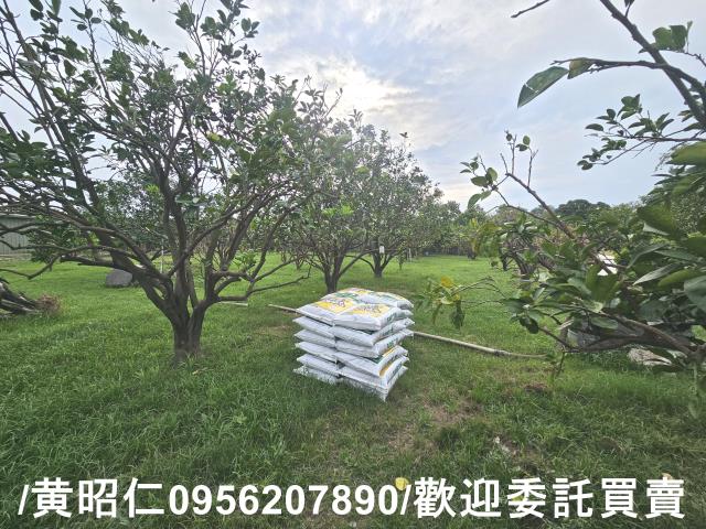 台南麻豆農地-2