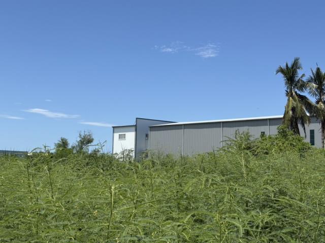 台南安南農地-9