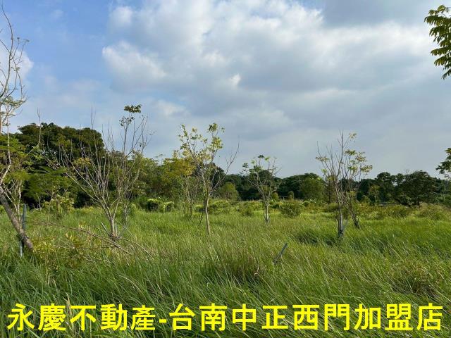 台南楠西農地-3